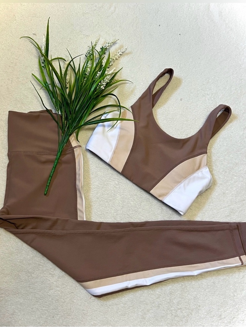 Seamless Colorblock Brown Sports Bra with Cream & White Panels
